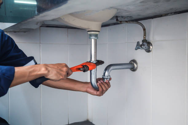 Best Plumbing Inspection Services  in Cornersville, TN